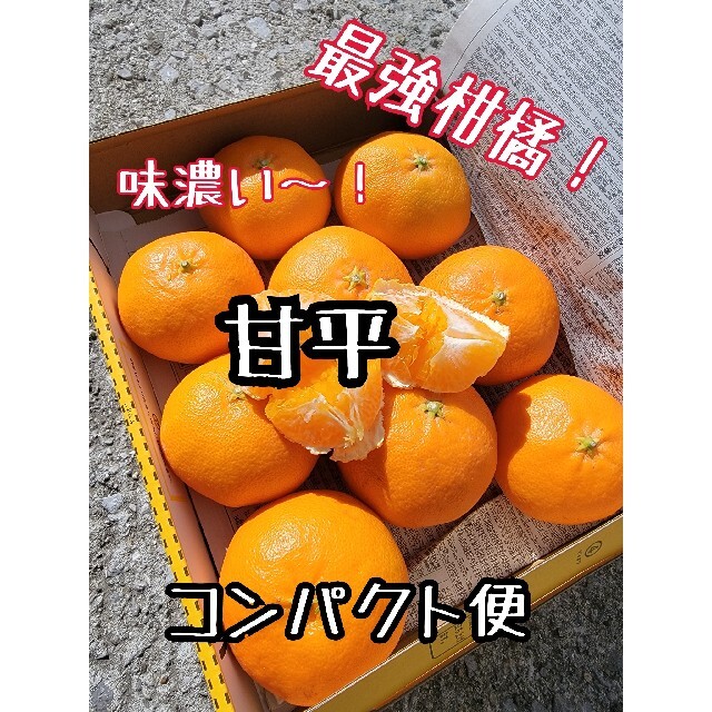 愛媛県産　甘平　少し訳あり　コンパクト　柑橘　ミカン 食品/飲料/酒の食品(フルーツ)の商品写真