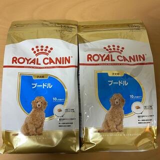 ロイヤルカナン(ROYAL CANIN)のロイヤルカナン　プードル　子犬用　1.5kg×2(ペットフード)