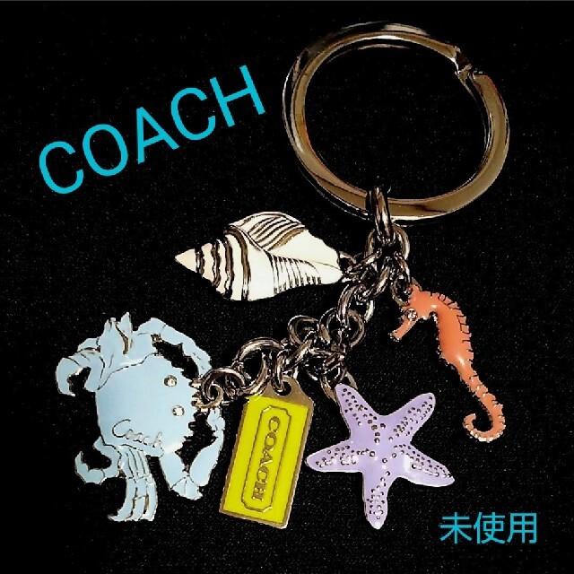 COACH(コーチ)のCOACH　マリンモチーフ キーホルダー、未使用 レディースのファッション小物(キーホルダー)の商品写真