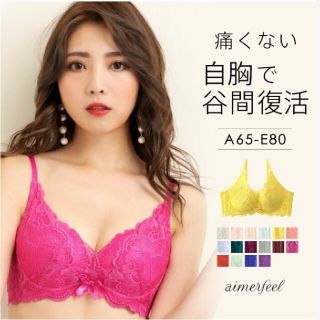 エメフィール(aimer feel)のエメフィール　カシュクールレース脇高ブラ　B65(ブラ)