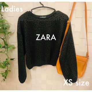 ザラ(ZARA)の☆ZARA☆ザラ　レディース　ヒョウ柄　レオパード　トップス　スウェット X S(トレーナー/スウェット)