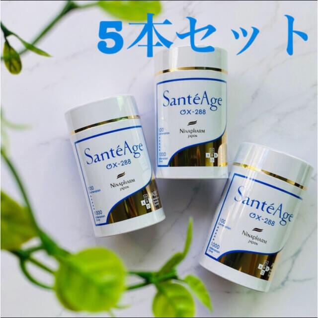 専用ページ⭐️サンテアージュ10本セット食品/飲料/酒