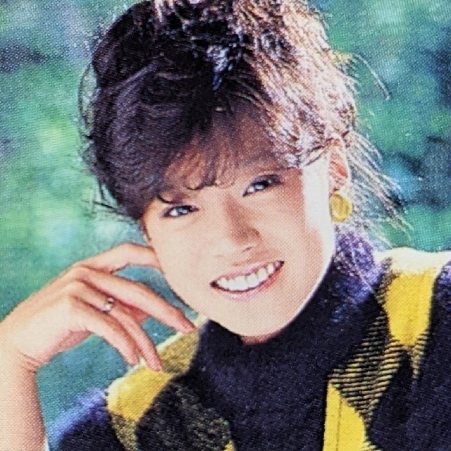 中森明菜・もう一人の明菜・廃盤２枚組ＣＤ エンタメ/ホビーのCD(ポップス/ロック(邦楽))の商品写真