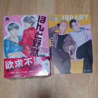 ほんと野獣 １５【山本小鉄子】新品(ボーイズラブ(BL))