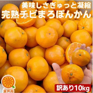 【送料無料】愛媛産 越冬完熟チビマロぽんかん 10kg 訳あり・不揃い(フルーツ)