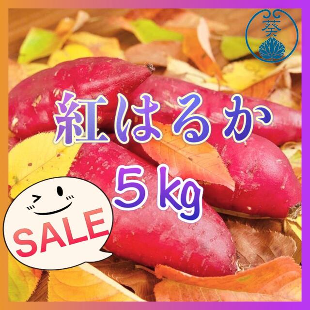 さつまいも　紅はるか5kg 食品/飲料/酒の食品(野菜)の商品写真