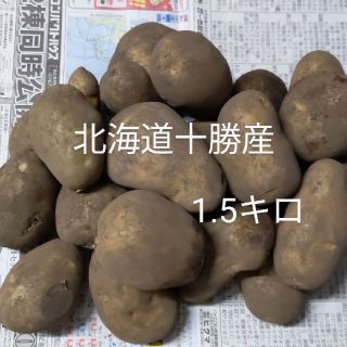 農家直送！メークイン、いも、じゃがいも(野菜)