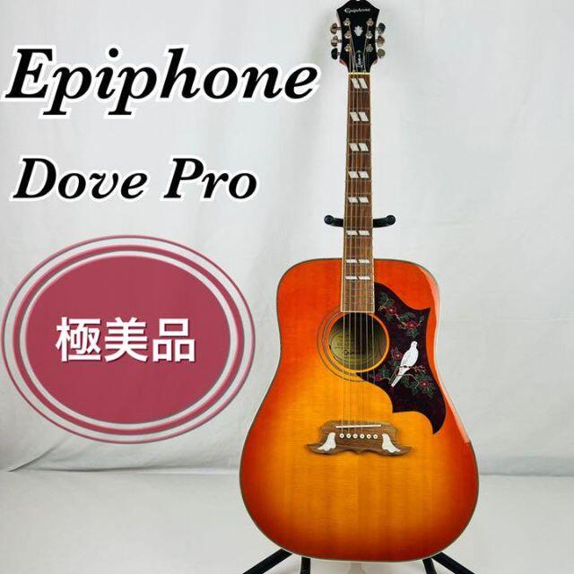 Epiphone - Epiphone エピフォン Dove Pro VB ダヴ プロ エレアコギターの