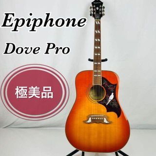 エピの通販 58点（楽器） | お得な新品・中古・未使用品のフリマならラクマ