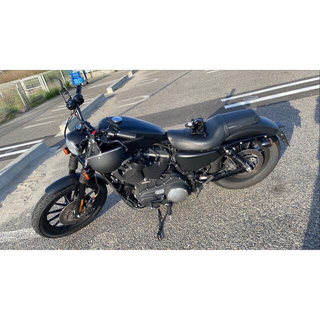 Harley Davidson - XL883N