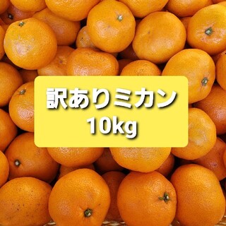 アイオペ(IOPE)の訳ありみかん10kg(フルーツ)