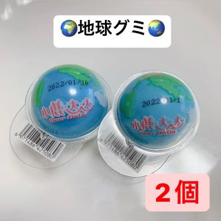 地球グミ　お試し　2個セット(菓子/デザート)