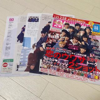 ジャニーズジュニア(ジャニーズJr.)の月刊TVガイド 恋の病と野郎組(アイドルグッズ)