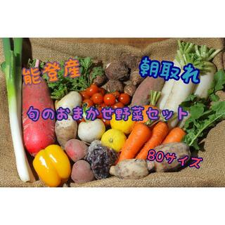 〈８０サイズ〉能登産　無農薬　旬のおまかせ野菜セット(野菜)