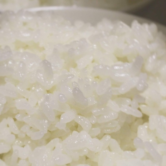 新米　令和3年度産　新潟こしひかり　10kg(5kg×2袋)　特別栽培米 食品/飲料/酒の食品(米/穀物)の商品写真
