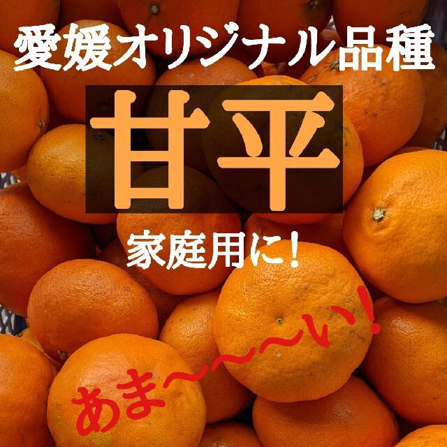 愛媛県大三島産　甘平　5kg 食品/飲料/酒の食品(フルーツ)の商品写真