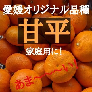 愛媛県大三島産　甘平　5kg(フルーツ)