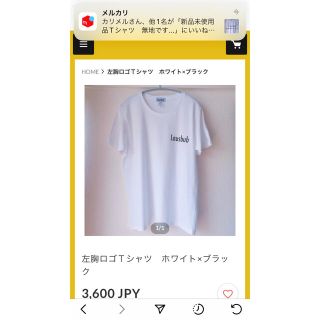 Tシャツ(シャツ)