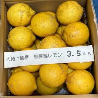 広島県大崎上島産無農薬レモン　3.5kg(フルーツ)