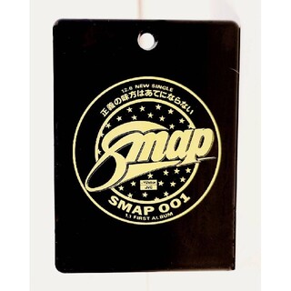 希少ノベルティ非売品グッズ1991年製SMAPスマップ巨大クリップ写真入れロゴ付(アイドルグッズ)