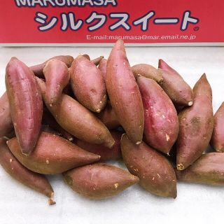 ☆蜜芋☆ 茨城県産　シルクスイート　2Sサイズ(野菜)