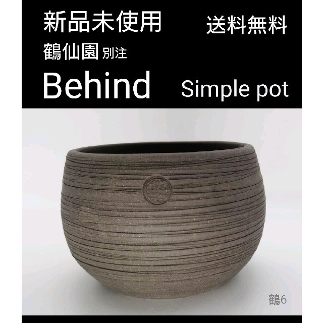 新品 鶴仙園 別注 Behind Simple pot 鉢 塊根植物 アガベ鶴6 