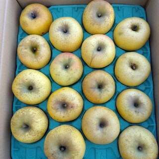 オススメ　本州宛配送限定　信州産リンゴ　３種類セット　約15キロ(フルーツ)