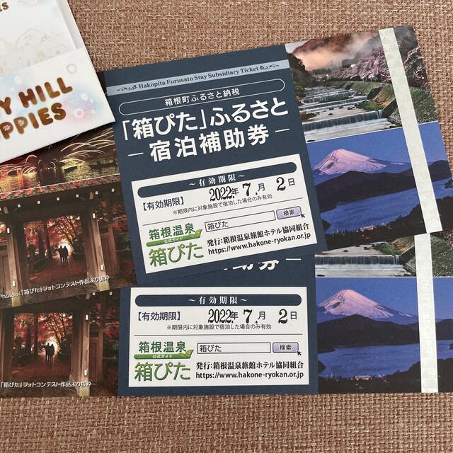 箱ぴた ふるさと 宿泊補助券 2枚 箱ぴた ふるさと 宿泊補助券 2枚