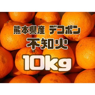 熊本県産 デコポン【不知火】箱込 10kg 家庭用(フルーツ)