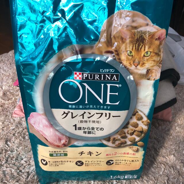 Nestle - ピュリナワン グレインフリーチキン 1.6kgの通販 by meco1471's shop|ネスレならラクマ Nestle - ピュリナワン グレインフリーチキン 1.6kgの通販 by meco1471's shop|ネスレならラクマ
