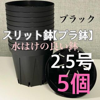 スリット鉢2.5号　直径7.5センチ　5個(プランター)