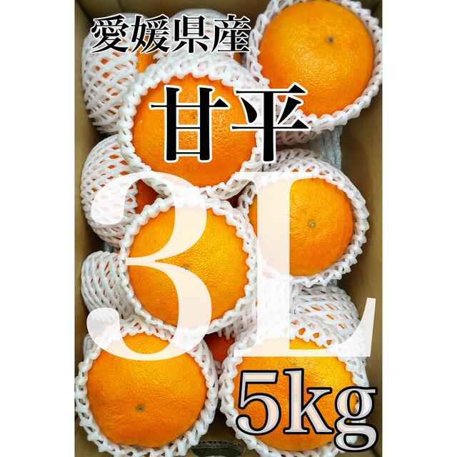 愛媛県産　家庭用【甘平】3Lサイズ　5kg ！！ 食品/飲料/酒の食品(フルーツ)の商品写真