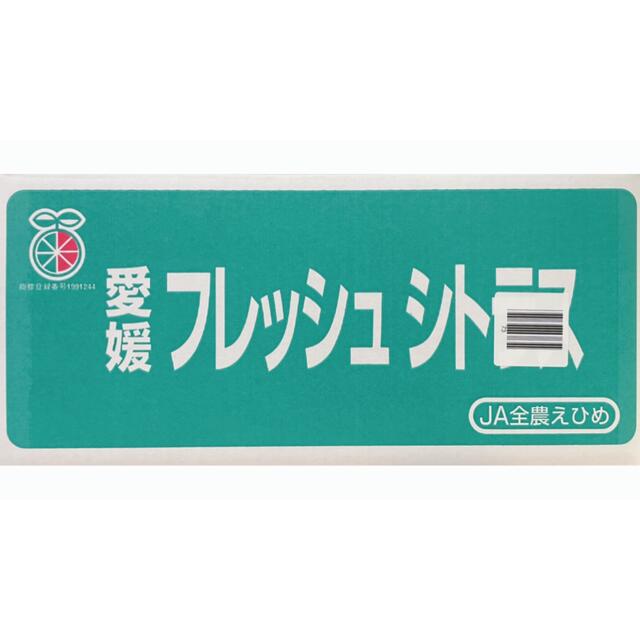 愛媛県産　家庭用【甘平】3Lサイズ　5kg ！！ 食品/飲料/酒の食品(フルーツ)の商品写真