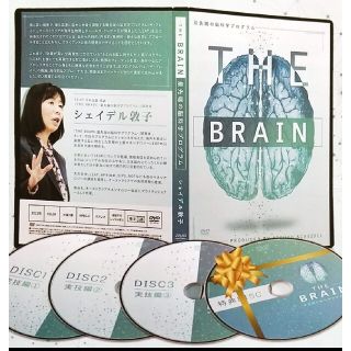 シェイデル敦子の「THE BRAIN-最先端の脳科学プログラム-」