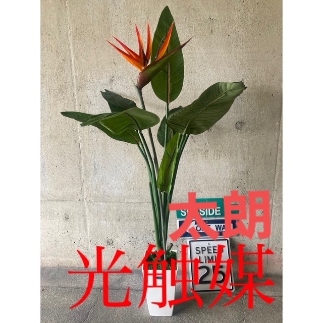 光触媒 人工観葉植物 ウォールグリーン 造花 インテリア ストレチア120-