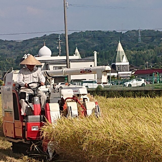 ✳️玄米お試し✳️富山県産1等米コシヒカリ玄米2合＋3合 食品/飲料/酒の食品(米/穀物)の商品写真