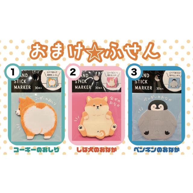 販売元直販 アンチノール 猫用 60粒 4箱〈おまけ付き〉 その他 tgr