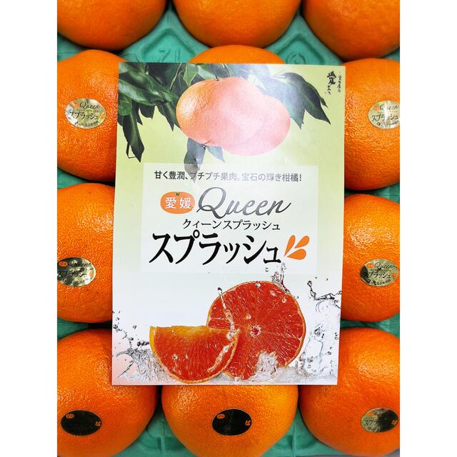 最高級柑橘！！愛媛県産【クィーンスプラッシュ】赤秀品　2Lサイズ12玉　3kg 食品/飲料/酒の食品(フルーツ)の商品写真