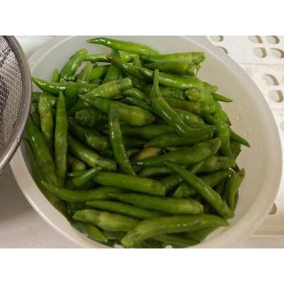 青唐辛子　種子　200粒(野菜)