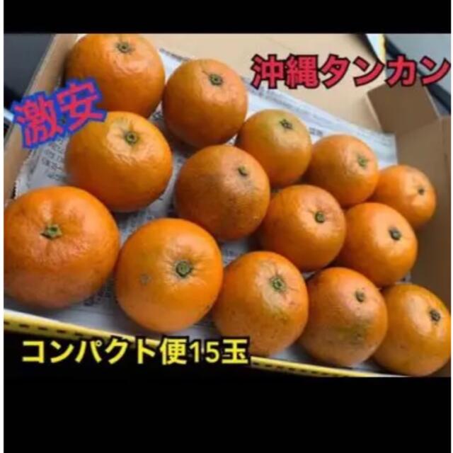 タンカン15玉 食品/飲料/酒の食品(フルーツ)の商品写真