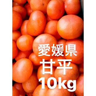 愛媛県産　甘平　柑橘　みかん　10kg(フルーツ)