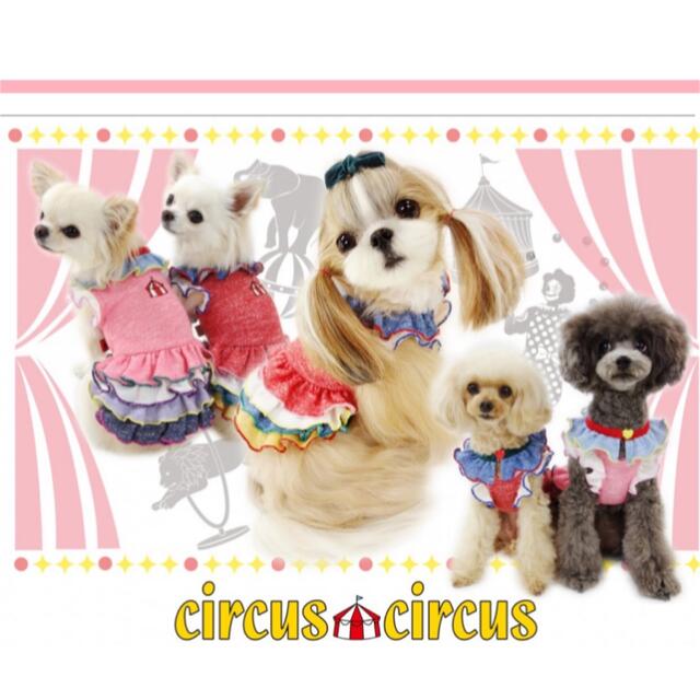 circus(サーカス)のサーカスサーカス　★ 犬服　ワンピース　★circus sircus その他のペット用品(犬)の商品写真