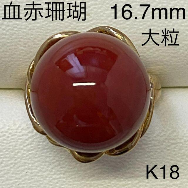 大珠サイズ！　K18　最高級血赤珊瑚リング　16.70mm　鑑別書付き レディースのアクセサリー(リング(指輪))の商品写真