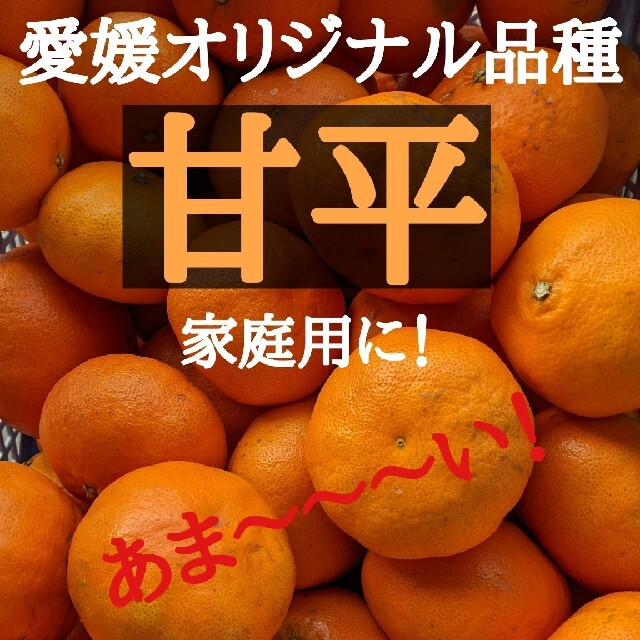 愛媛県大三島産　あま〜い甘平　5kg 食品/飲料/酒の食品(フルーツ)の商品写真