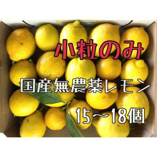 【小粒のみ】国産無農薬レモン　15〜18個　送料込み　檸檬　福岡県産(フルーツ)