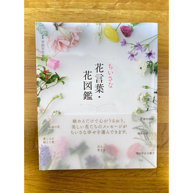 【tina_ici様ご購入済】ちいさな花言葉・花図鑑 エンタメ/ホビーの本(趣味/スポーツ/実用)の商品写真