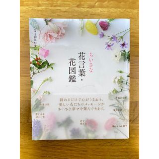 【tina_ici様ご購入済】ちいさな花言葉・花図鑑(趣味/スポーツ/実用)