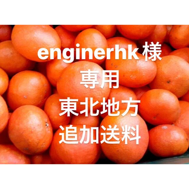 enginerhk様　専用　東北地方　追加送料 食品/飲料/酒の食品(フルーツ)の商品写真