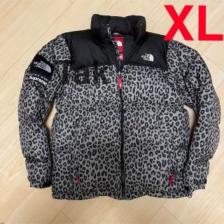 シュプリーム(Supreme)のSupreme North Face Leopard Print Nuptse(ダウンジャケット)