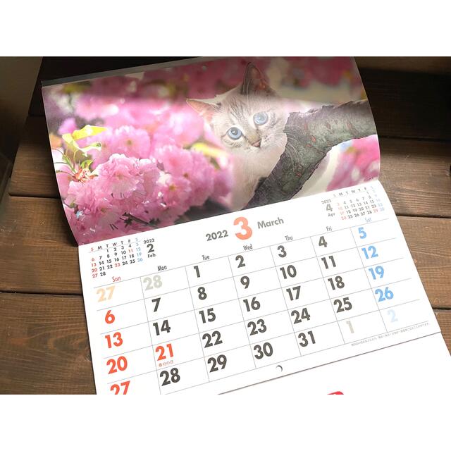 ペットカレンダー2022フコク生命 インテリア/住まい/日用品の文房具(カレンダー/スケジュール)の商品写真